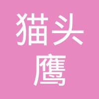 探秘貓頭鷹網絡科技 優勢、業務與市場評價